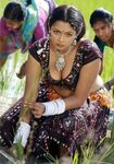 Photo Hot Stills Indian South Sensations - Bolly Actress Pic